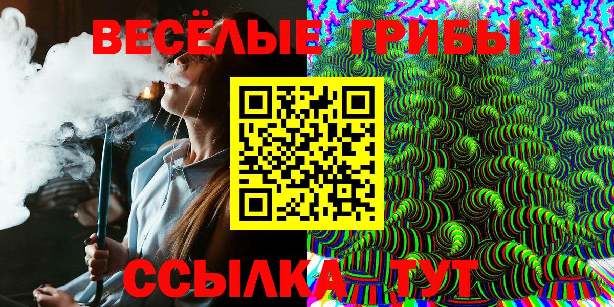 Псилоцибиновые грибы мицелий Улан-Удэ